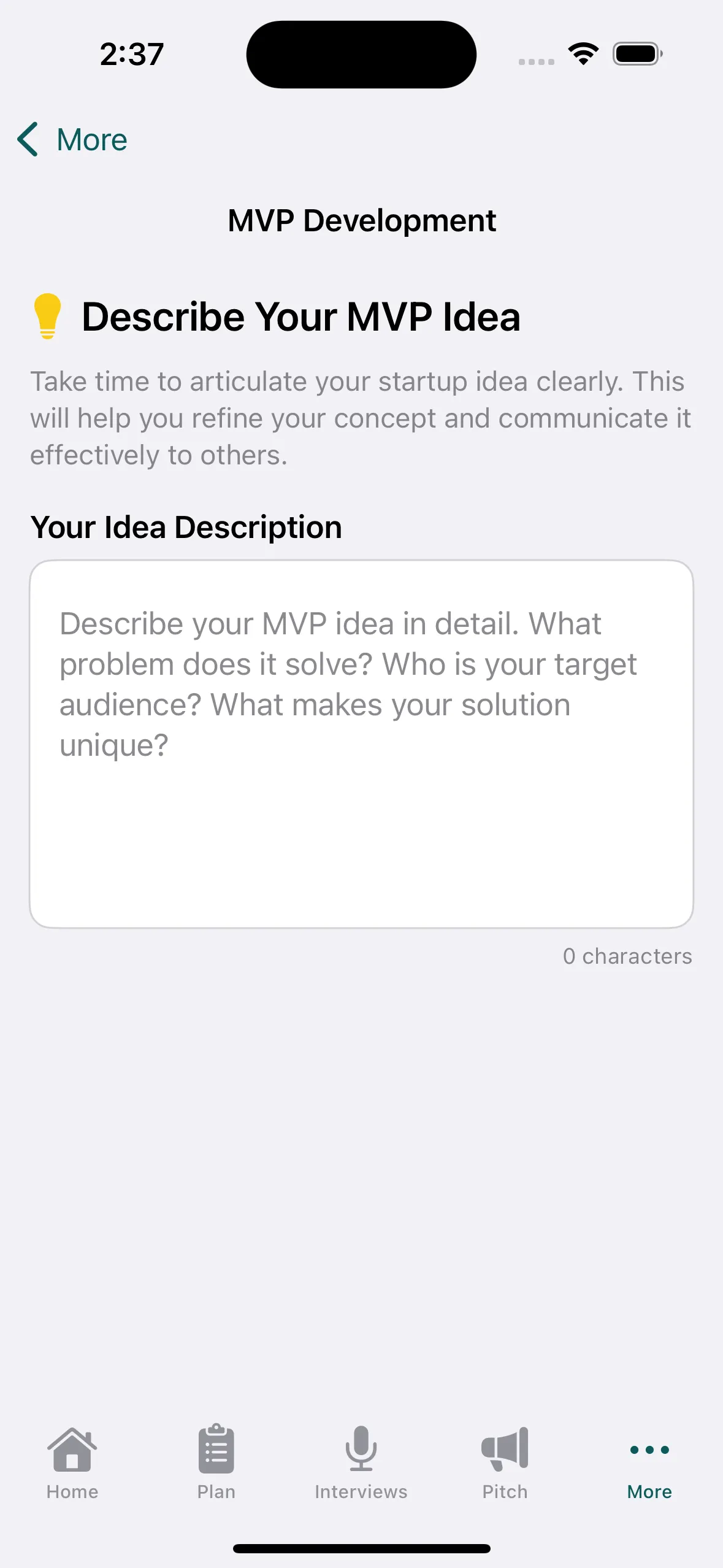 MVP development form for validating startup ideas